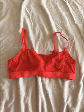 Lively Red Mesh Bralette